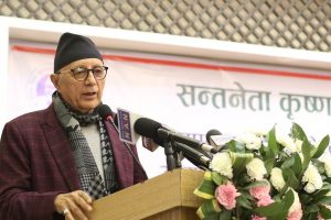 देउवालाई लक्ष्य गर्दै शेखरले भने- सभापतिले केही नसुन्ने हो भने अप्ठेरोमा पर्छ