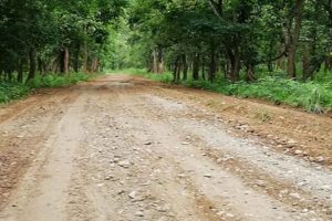 चारपाङ्ग्रे सवारीसाधनका लागि चितवन निकुञ्जको बाटो चौबिसै घण्टा खुला