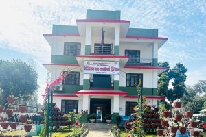 दुई लाख बिरुवा उत्पादन गर्दै डिभिजन वन कार्यालय चितवन