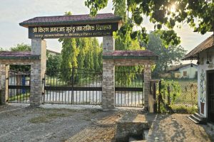 गुरुहरू काठमाडौंमा ‘जादु देखाउँदै’, विद्यालयमा कक्षा ८ को नतिजा निल !
