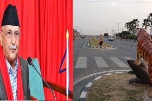 भरतपुरको ६ लेन सडकको उद्घाटन गर्न प्रधानमन्त्री ओली भोलि चितवन आउने