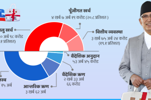 यस्तो आयो बजेट (पूर्णपाठ)