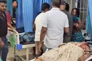 बिहेघरमा गाडेको बाँसले हाइटेन्सन लाइन छुँदा दुई महिलाको मृत्यु