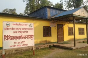 नवलपुर डिभिजन वनद्वारा एक लाखभन्दा बढी बिरुवा वितरण सुरु