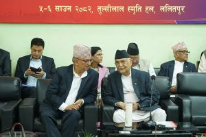 केन्द्रीय कमिटीमा ओलीले भने-पार्टी विभाजन गर्न खोज्ने तत्वसँग जोगिनू