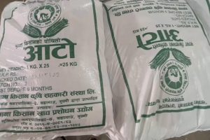 गुल्मीको मुसिकोटमा आटोको ब्राण्डिङ, ३५ टन बिक्री गर्ने लक्ष्य