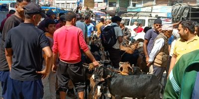 “निर्दोष जनावरको हत्या धर्म होइन, अज्ञानता हो”