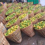 बुलिङटारमा सुन्तलाको चहलपहल, किसानको बारीमै बिक्री सुरु