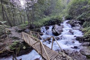 लाङटाङ घुम्न गएका भक्तपुरका चार जनालाई खोल्साले बगायो (नामावली)