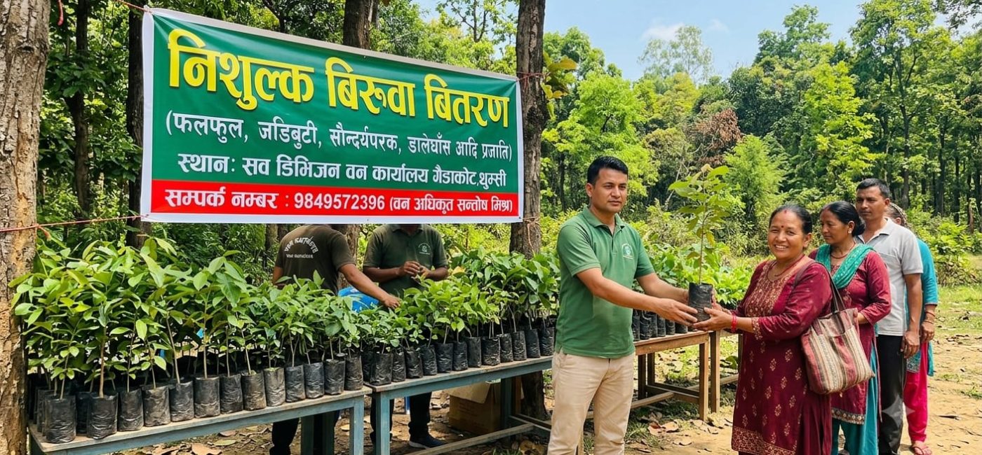 गैंडाकोट सब डिभिजन वन कार्यालयद्वारा ६ हजार बिरुवा नि:शुल्क वितरण