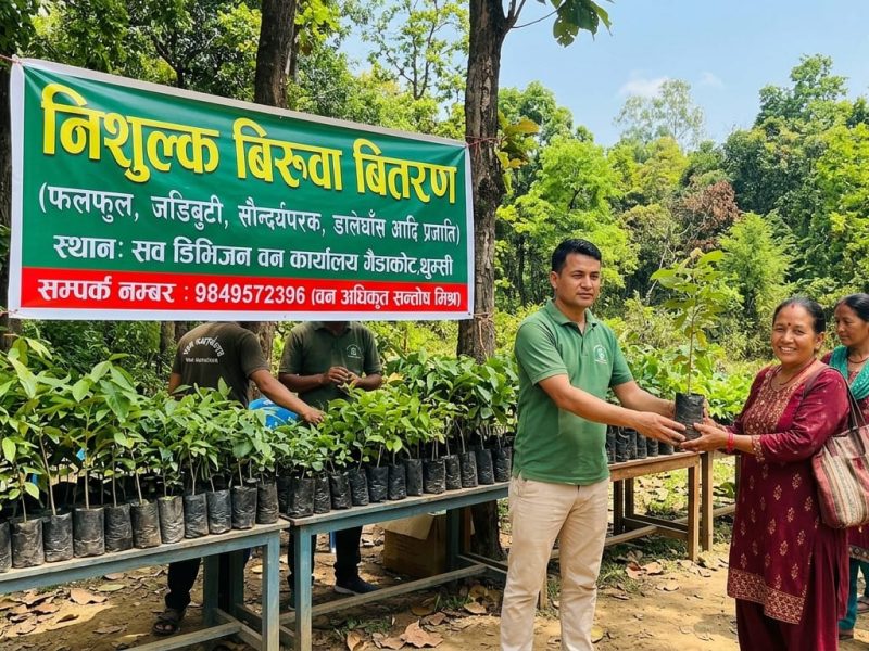 गैंडाकोट सब डिभिजन वन कार्यालयद्वारा ६ हजार बिरुवा नि:शुल्क वितरण