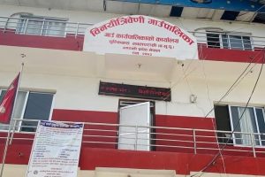 बाढीपछि दूषित पानी र मरेका माछा-मासु प्रयोग नगर्न बिनयी त्रिवेणी गाउँपालिकाको अनुरोध