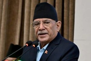 २४ भदौ नेपालको लोकतान्त्रिक इतिहासको कालो दिन : प्रचण्ड